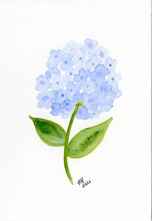 A watercolor painting of a light blue hydrangea flower with green leaves on a white notecard.