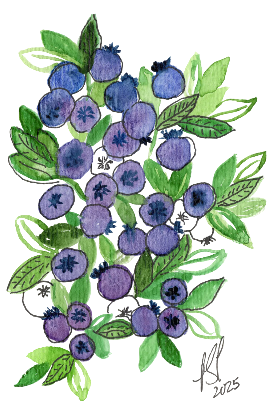 Blueberry Garden