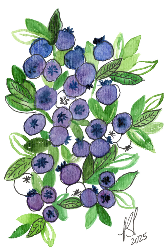 Blueberry Garden