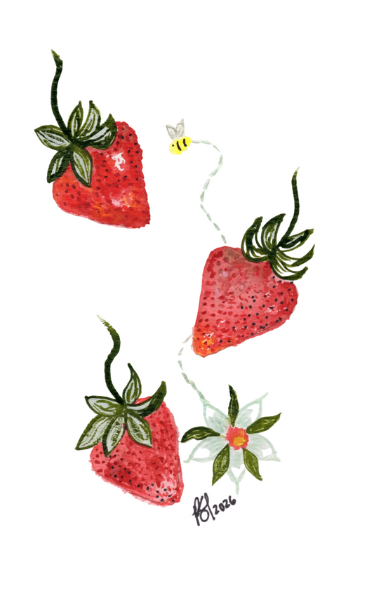Sweet Strawberries